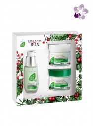 Aloe Vera Gesichtspflege-Set I